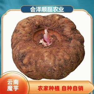 农家鲜魔芋 规格多样 400g 豆腐原材料 顺磊农业 一站式批发采购