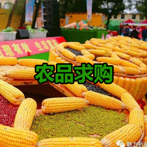 求购玉米小麦高粱碎米等原料